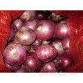 Fresh Red Onion In High Quality